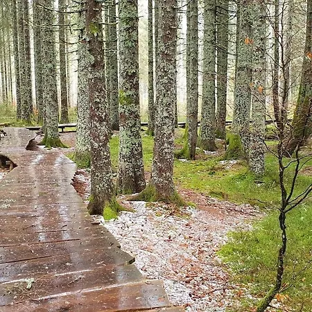 Апартаменты *black Forest Schwarzwaldtanne* Шлухзее