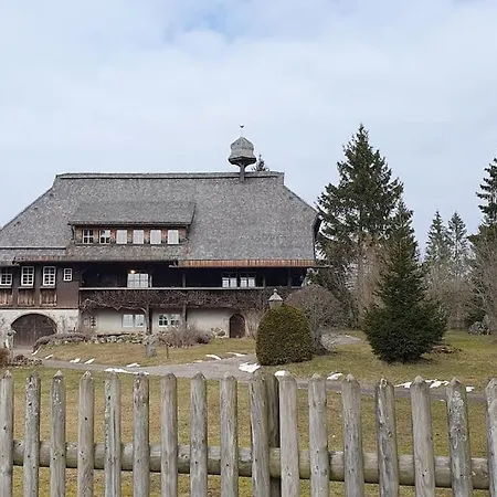 *black Forest Schwarzwaldtanne* *