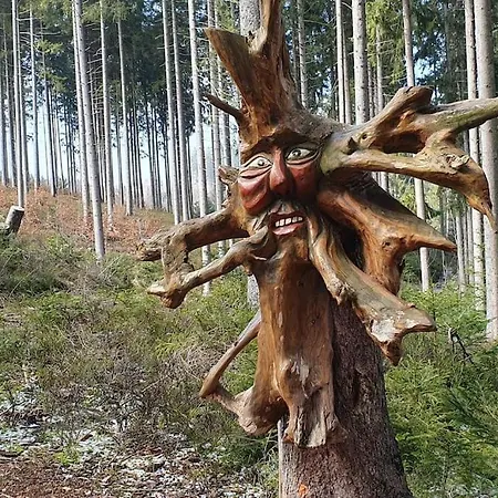 *black Forest Schwarzwaldtanne* Апартаменты