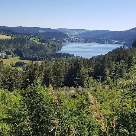 Апартаменты *black Forest Schwarzwaldtanne*