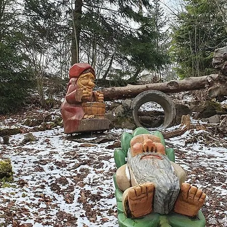 *black Forest Schwarzwaldtanne* Апартаменты *