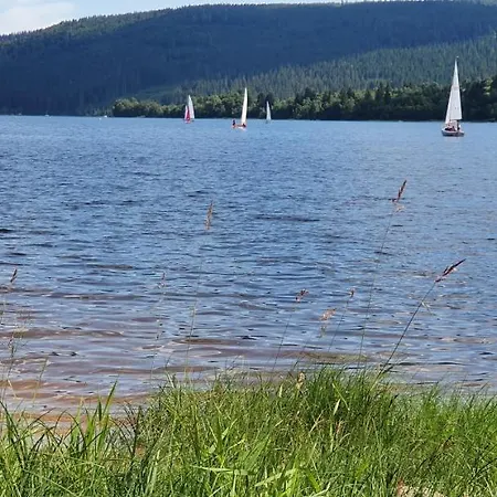 *black Forest Schwarzwaldtanne*