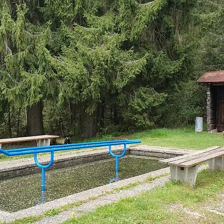 Апартаменты *black Forest Schwarzwaldtanne* *